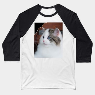 the chubby cute cats Baseball T-Shirt